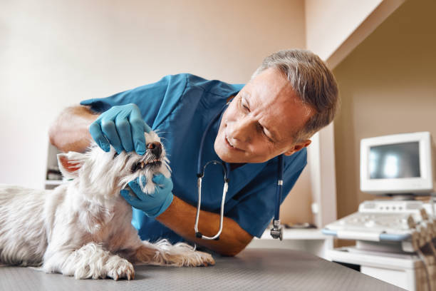 Best Pediatric Emergency Dentist in Tomball, TX
