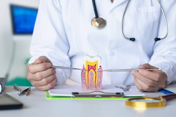 Best Emergency Wisdom Teeth Removal in Tomball, TX